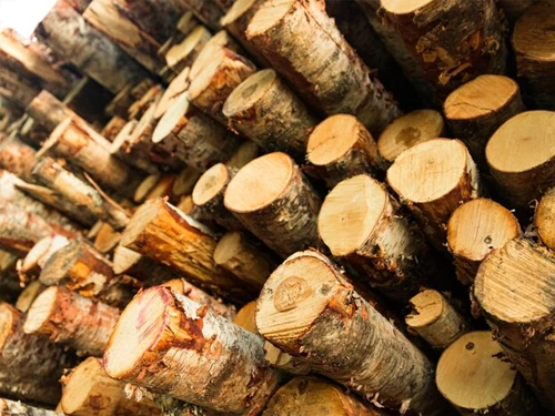 pontalete de eucalipto + madeireira + carapicuiba + sp + madeireira sao joao